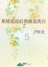 豪华别墅找不同