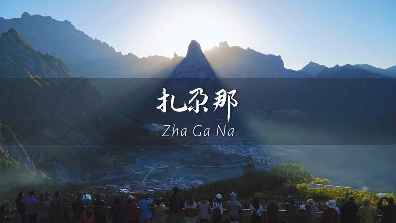 救援七星瓢虫