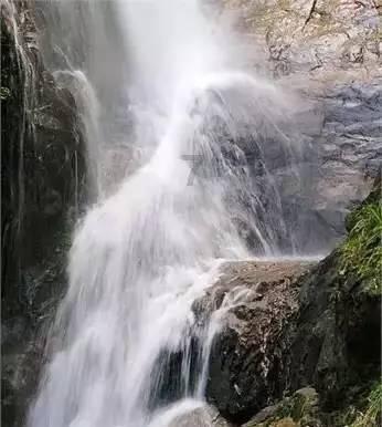 集邮者的收藏